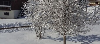 Frittliggende hytte, godt plassert i et meget rolig sett med 29 hytter.