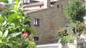 Edificio de piedra con entrada pavimentada y un pequeño jardín con plantas en macetas y un árbol.