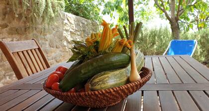Farm on the hills of Cortona with a spectacular view of the Valdichiana Valley