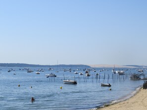 Playa en los alrededores y camastros 