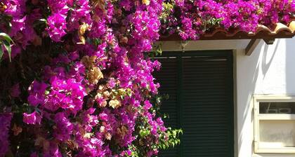 Maison de charme avec patio et vue sur la mer