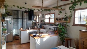 A kitchen with a central island, wooden cabinets, and hanging plants.