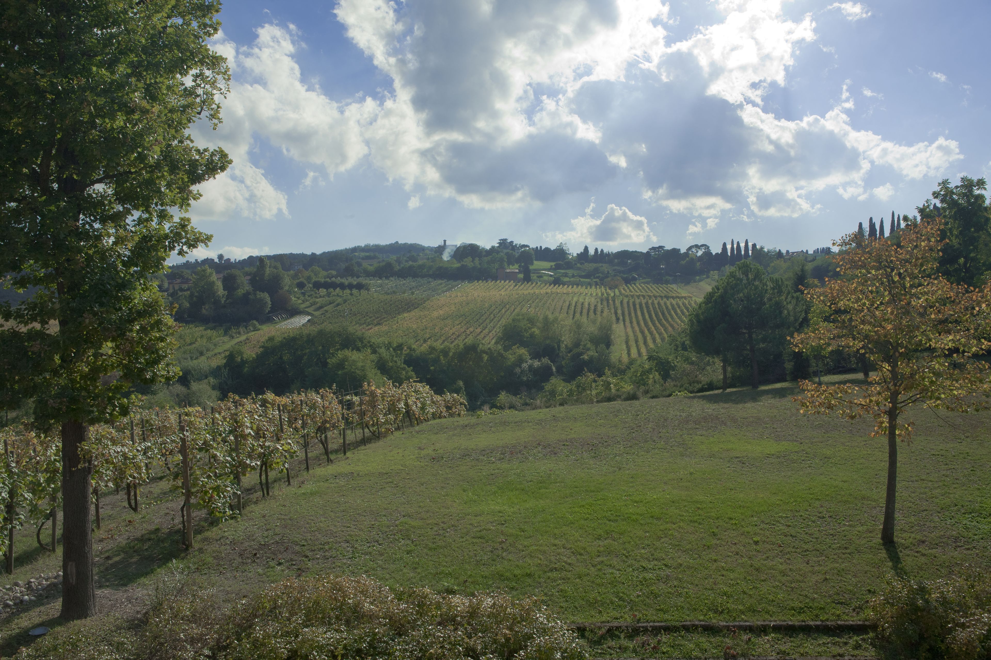 Triple Room, Garden View | View from room