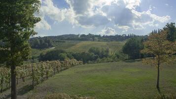Camera tripla, vista giardino | Vista dalla camera