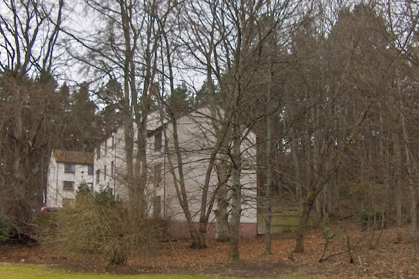 woodland setting next to the Aviemore Centre