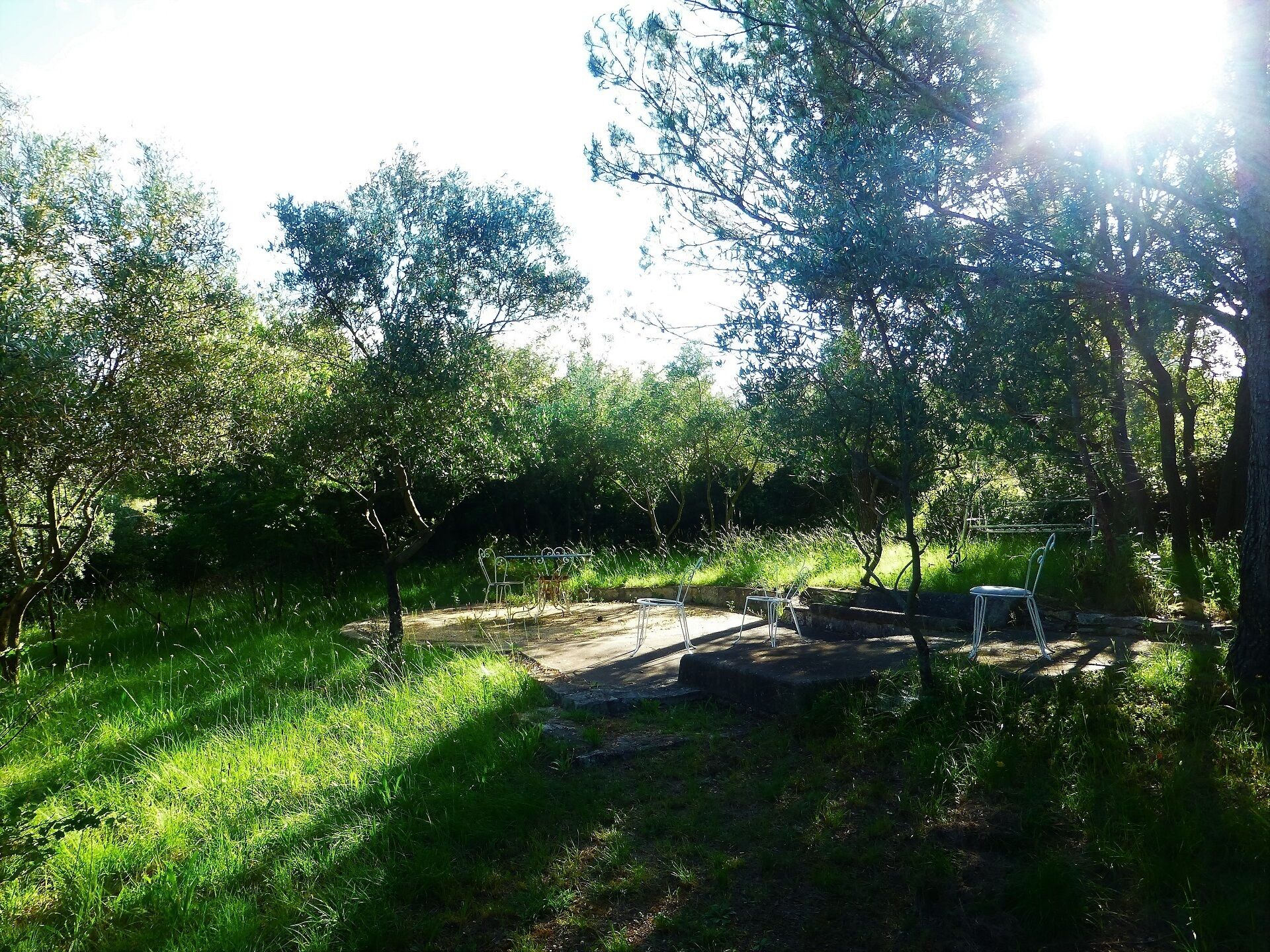 Eine natürliche Umgebung im Freien mit einer Steinsitzbank und Metallstühlen, umgeben von Bäumen und Gras.