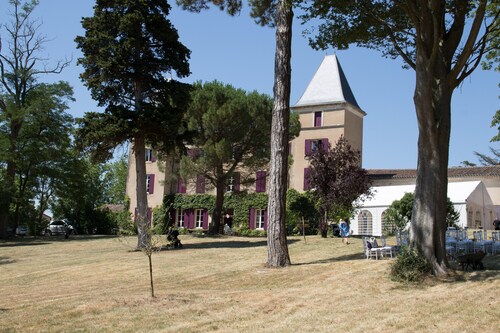 A stunning 1800 Castle near Carcassonne, Mirepoix. Large pool with diving board.