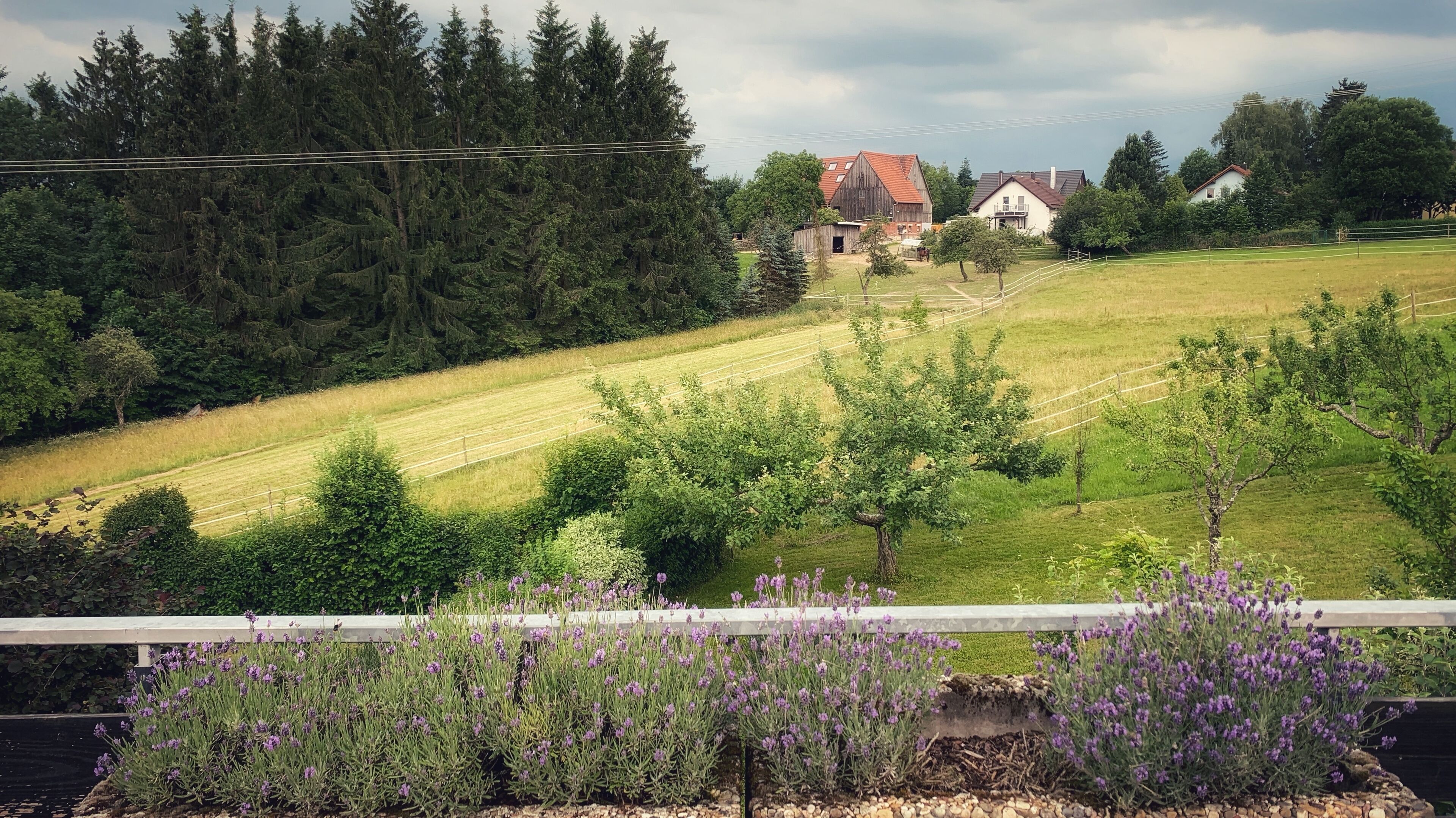 Business Apartment, Garden View | View from room