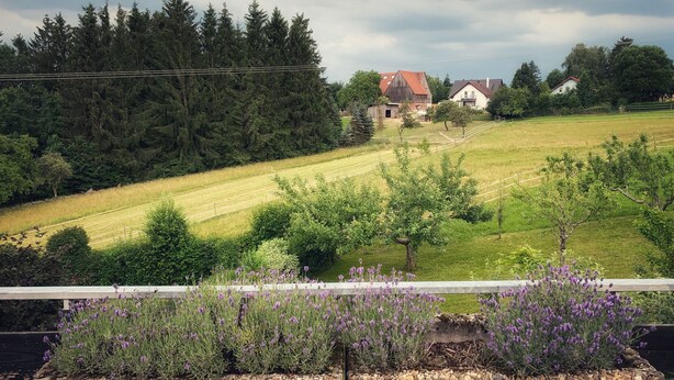 A rural landscape with a house, a barn, and a field. - Ebnisee Apartments (Kaisersbach)