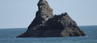 Hedgerow Hut - the perfect Tiny House