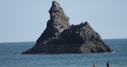 Hedgerow Hut - el escondite perfecto