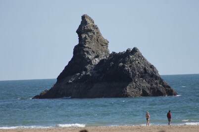 Hedgerow Hut - the perfect Tiny House