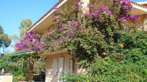 Talo, jossa on parveke, joka on peitetty violetteja bougainvillea-kukkia, kivinen savupiippu ja laattakatto.