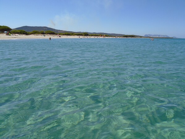 Beach nearby - Villa 50 meters from the white sandy beach and the crystalline sea of ​​Budoni (Budoni)