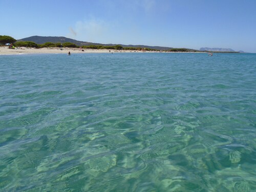 Villa 50 meters from the white sandy beach and the crystalline sea of ​​Budoni