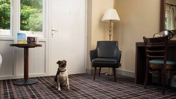 Una habitación con alfombra escocesa, un perro sentado cerca de una puerta, una lámpara y una silla.