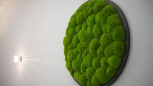 Una decoración verde similar a musgo, montada en la pared.