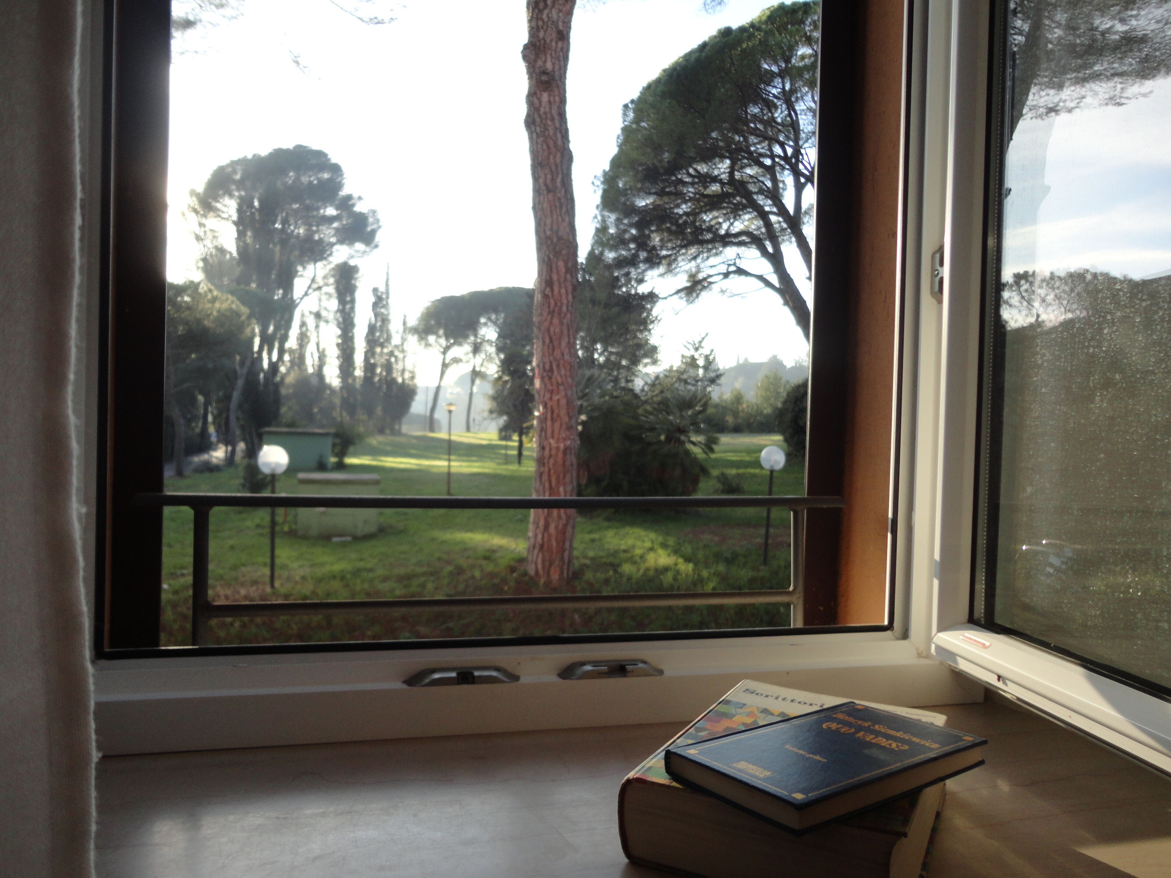 Superior Triple Room | View from room