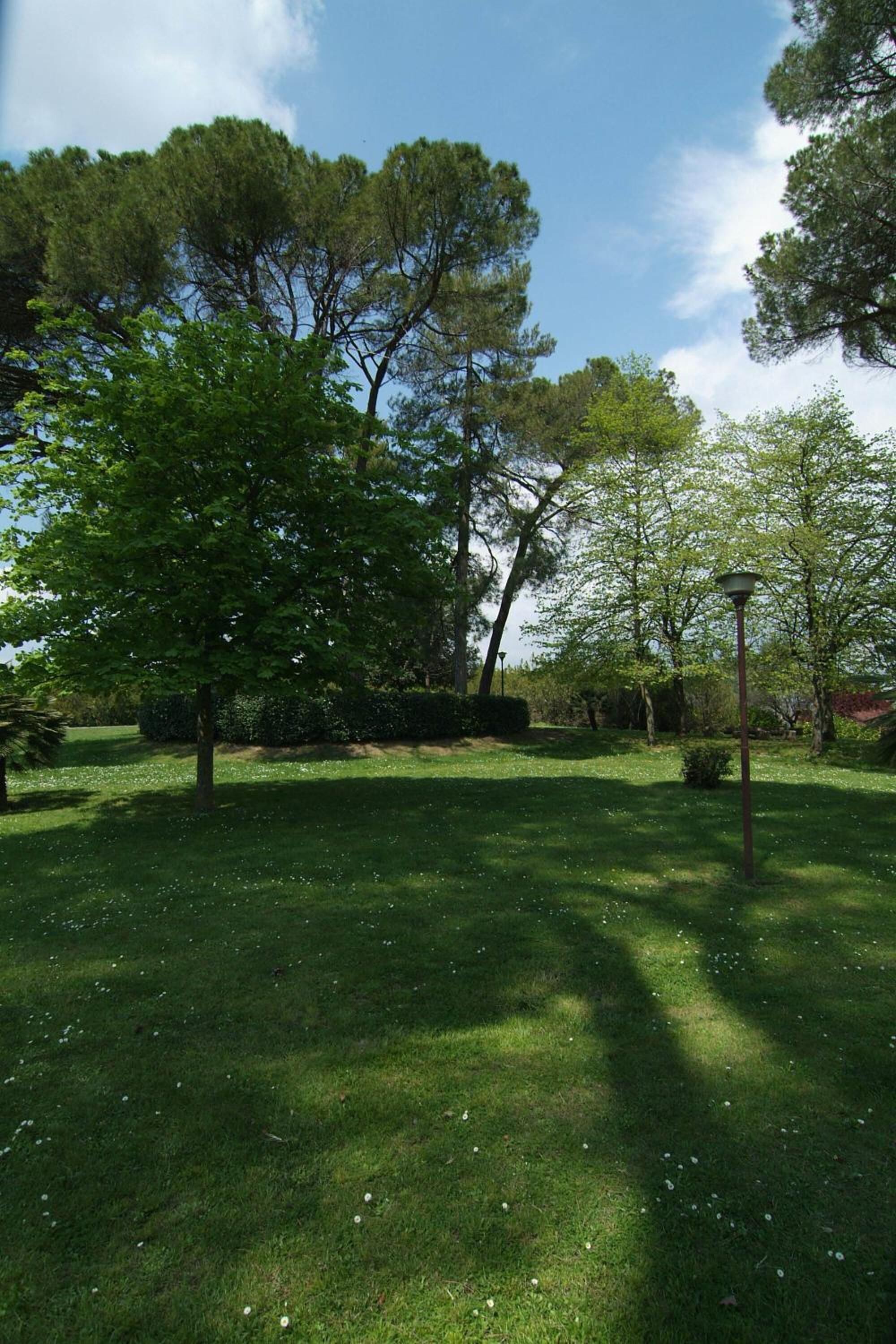 Un espace extérieur verdoyant, avec des arbres et un lampadaire.