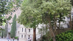 Un bâtiment historique doté d’arcs en plein cintre et d’une façade en pierre, entouré d’arbres et d’un mur de pierre.