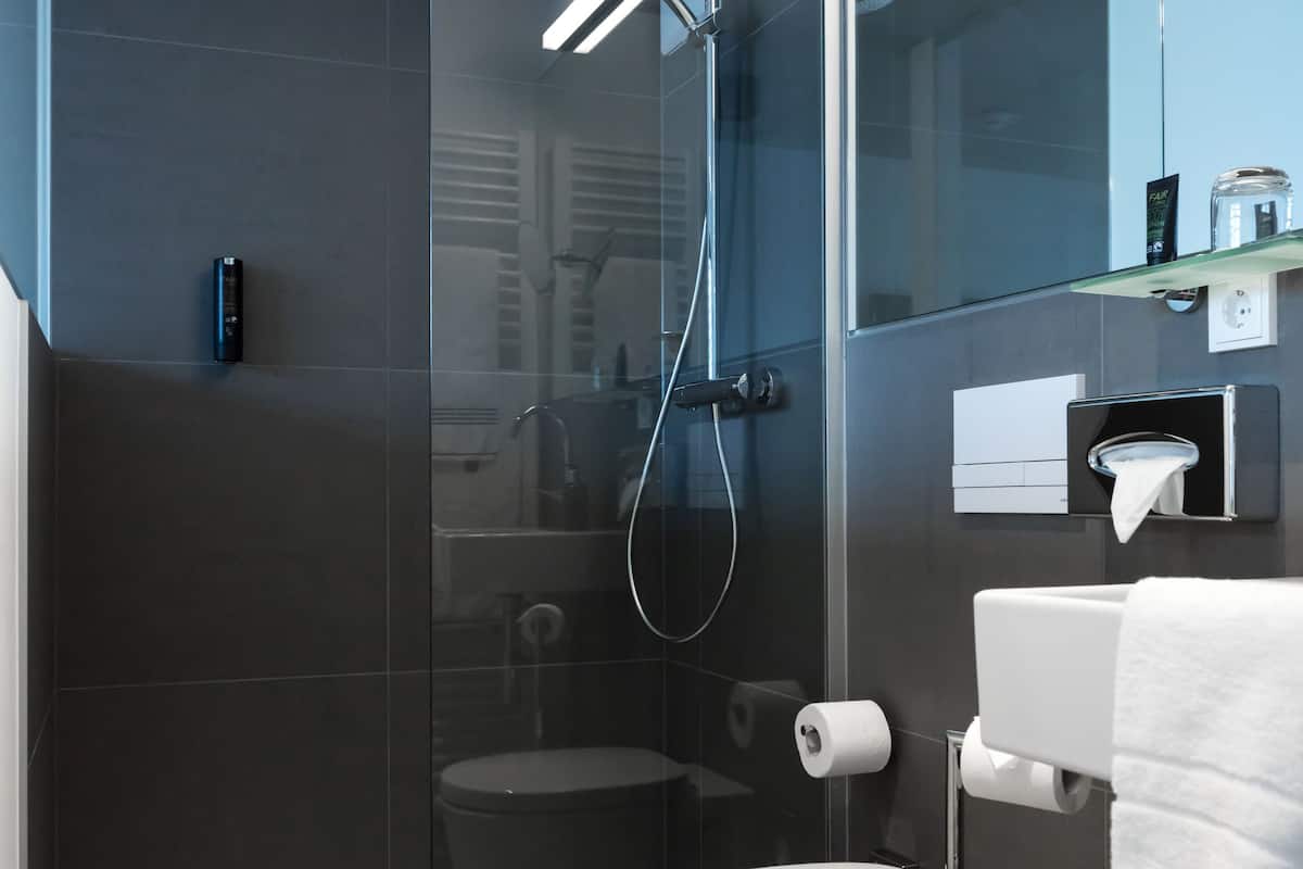 shower, free toiletries, hair dryer, towels