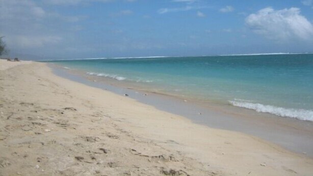 A wide sandy beach with gentle waves, clear skies, and a distant horizon. - Villa in wooded park 3 bedrooms / sleeps 7 (La Tremblade)