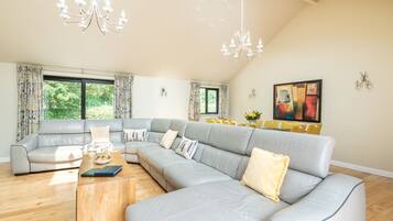 智能电视、壁炉、DVD 播放器