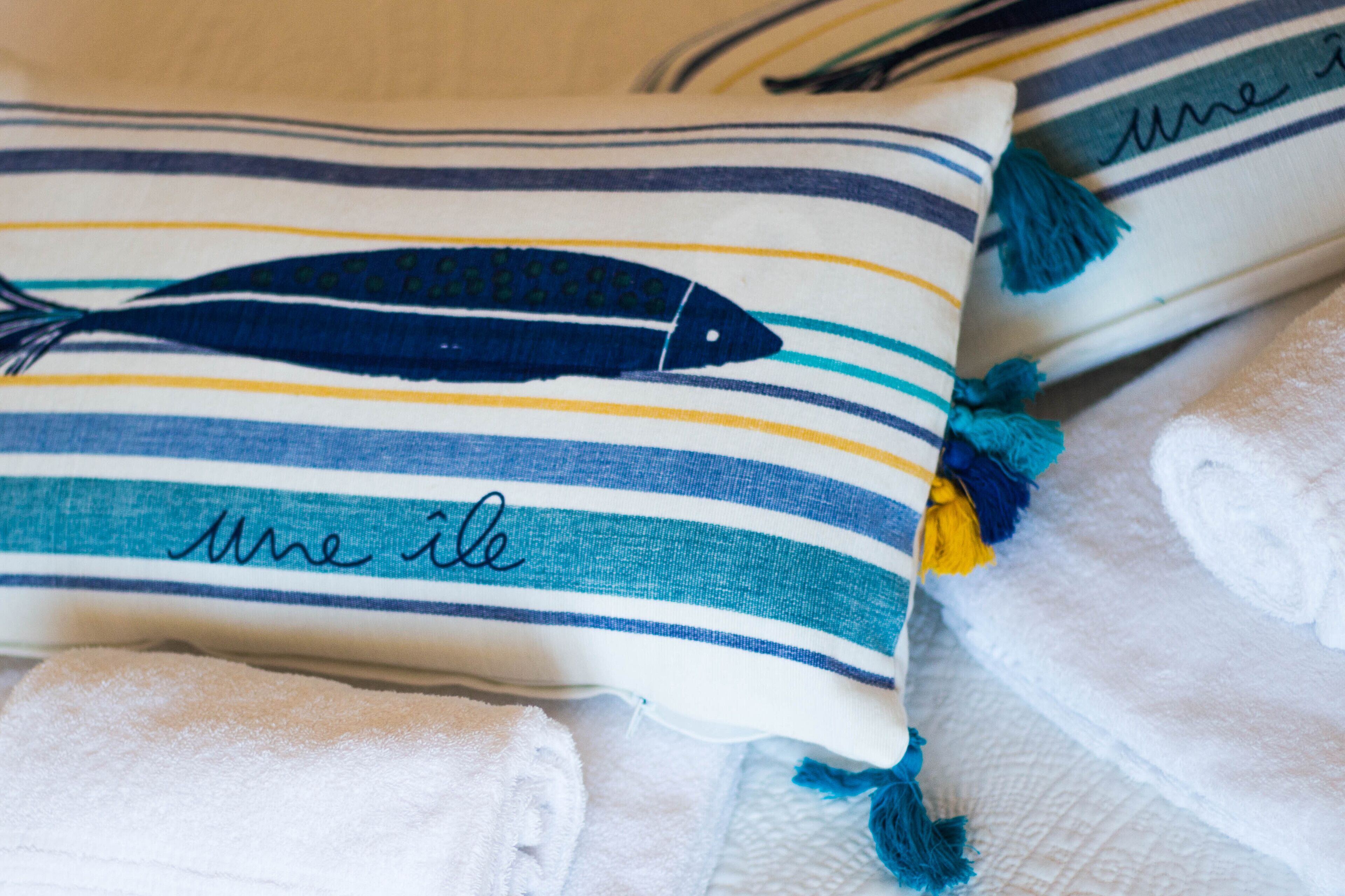 VILLA WITH PRIVATE POOL WITH WHIRLPOOL, EVERY COMFORT, NEAR THE SEA 