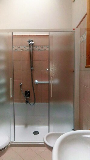Shower, hair dryer, bidet, towels