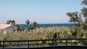 A coastal view with a house partially obscured by tall grass and palm trees, overlooking the sea. - Beachside new luxury apartment with sea & mountain views, great location & Wi-FI (Dénia)