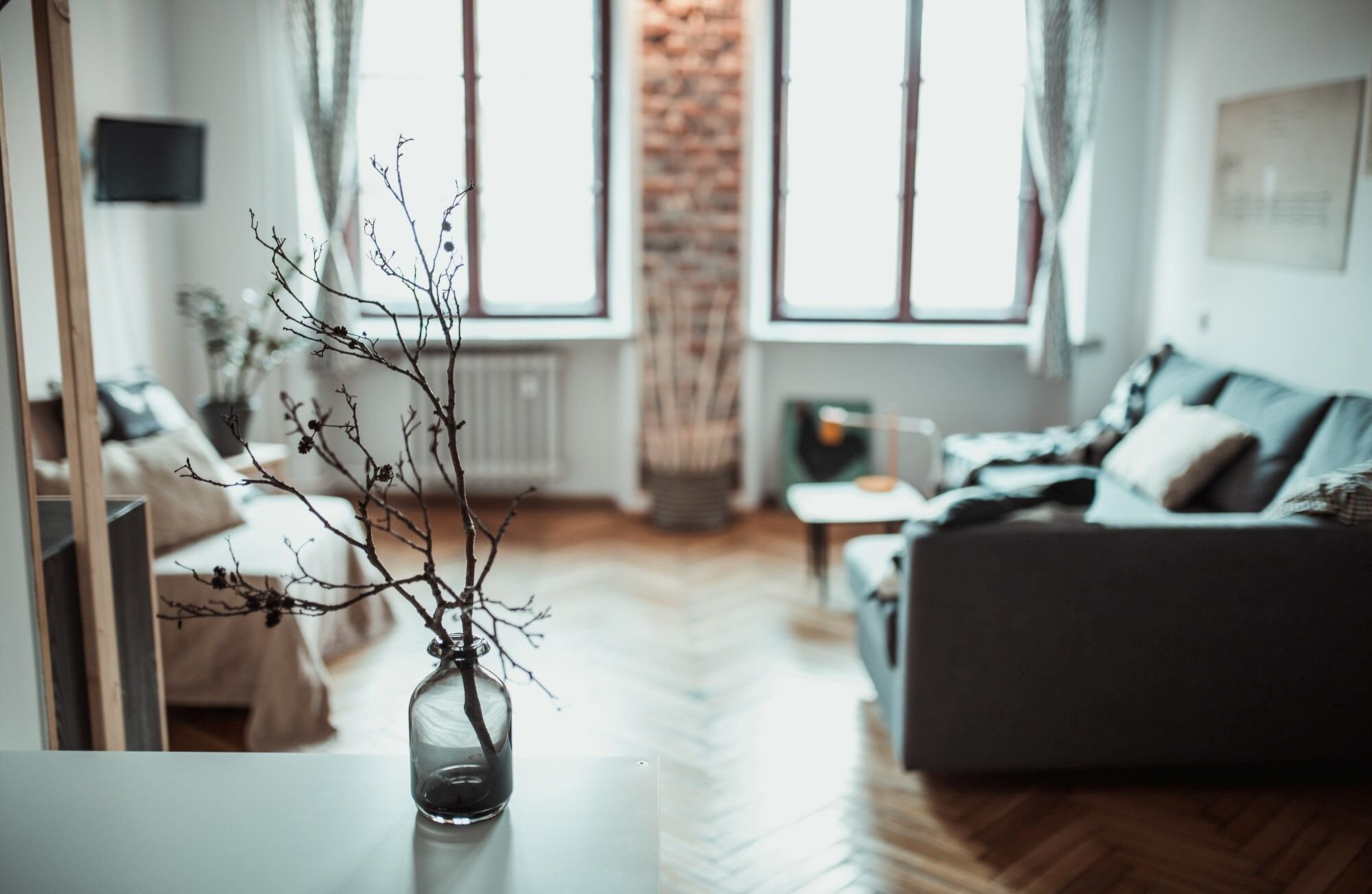 Televisión y libros 