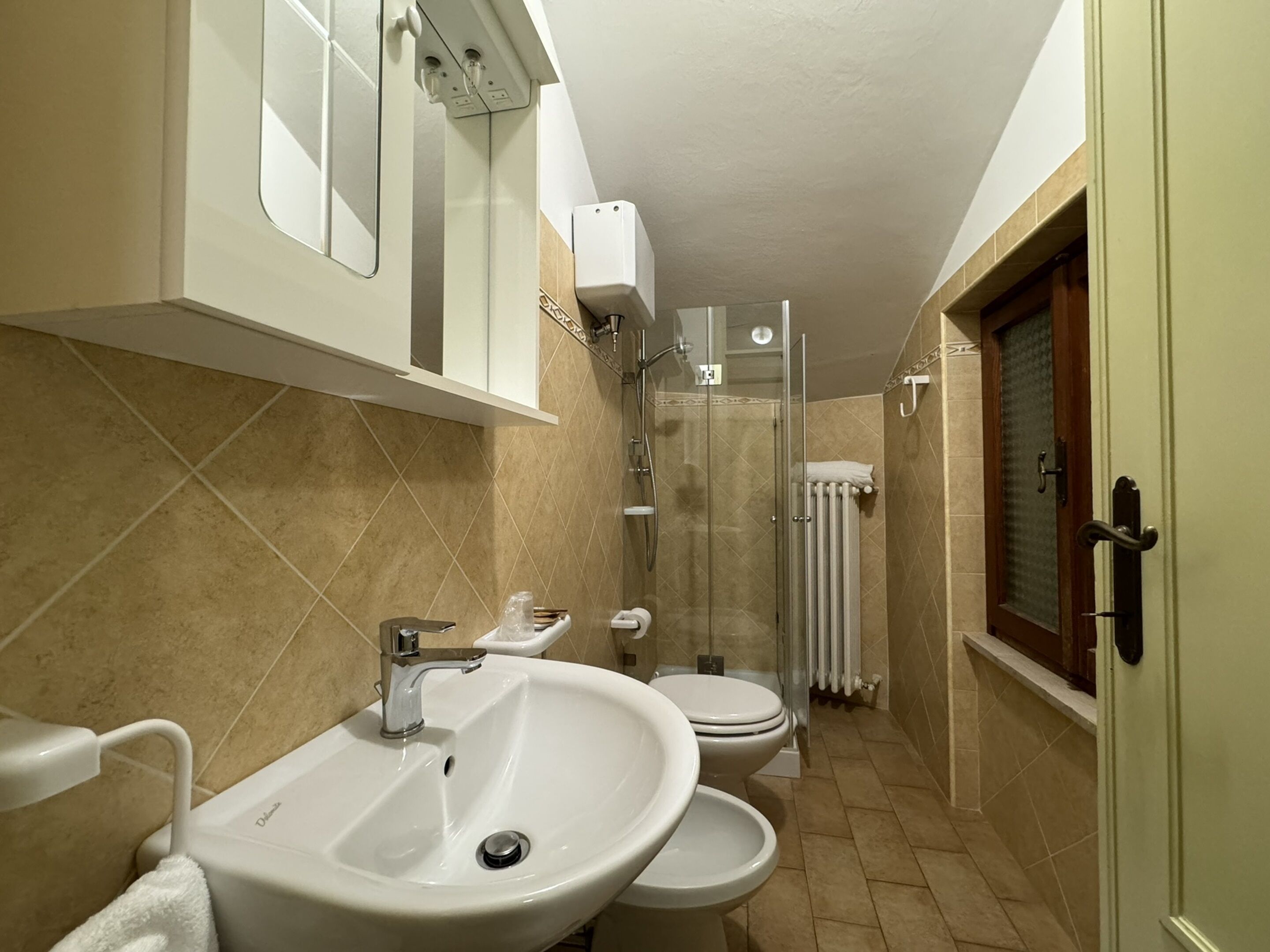 Baño con lavamanos, inodoro y ducha.
