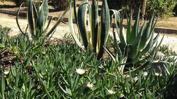 DĂ©tail de lâextĂ©rieur