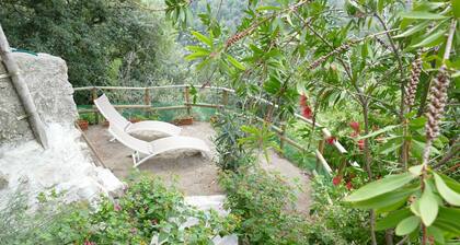 Poggio: Mukava huoneisto historiallisessa keskustassa Poggio