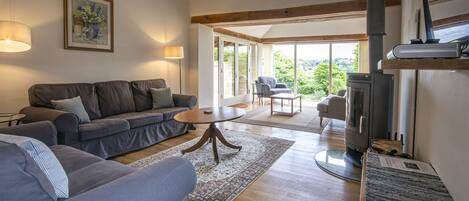 Älytelevisio, takka