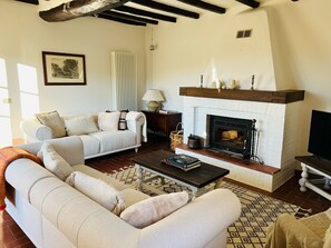 Télévision, cheminée, livres, chaîne hi-fi