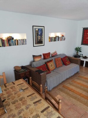 Smart TV, DVD player, books, video library