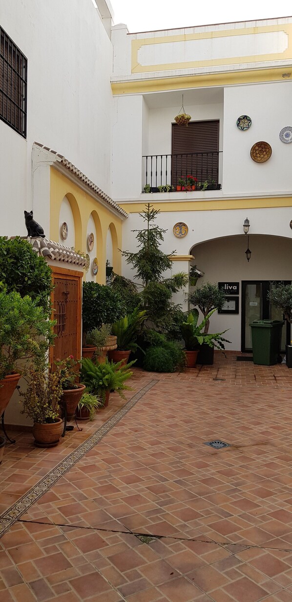 A courtyard with potted plants, a wooden door, and a sign for 'Liva'.