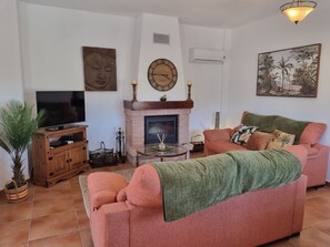 Televisión, chimenea, reproductor de DVD y libros 