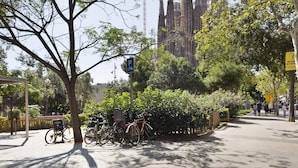 Une rue bordée de vélos garés le long du trottoir, d’arbres et, au fond, d’un bâtiment au style architectural unique.