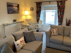 TV, fireplace, DVD player, books