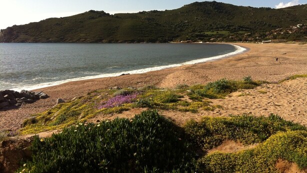 Una playa costera con arena, vegetación verde y un paisaje montañoso al fondo.