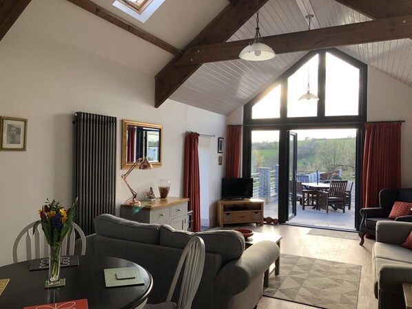 Fernseher, Kamin, DVD-Player, Bücher