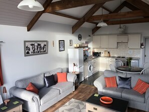Télévision, cheminée, lecteur de DVD, livres
