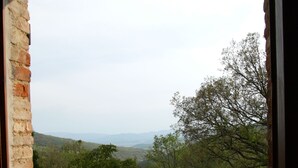 A view through a window with a brick wall, a grassy field, trees, and a distant mountain range.