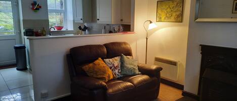 TV connectée, cheminée, lecteur de DVD