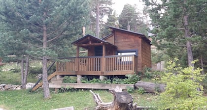 Spektakuläres Holzhaus im Skigebiet Port de Comte