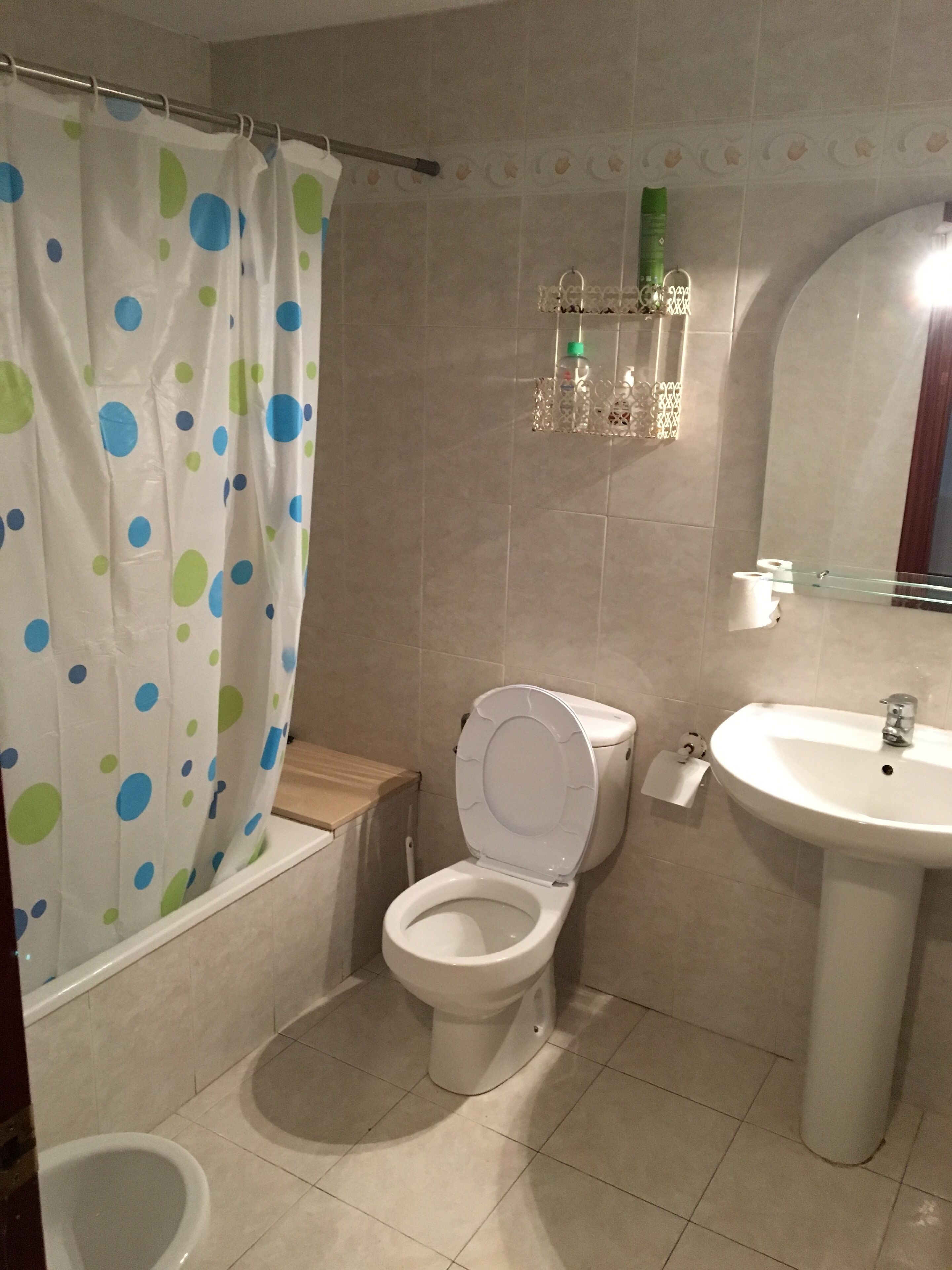 Ducha y bañera combinadas, secador de pelo, bidé y toallas