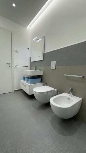 Ducha, secador de pelo, bidet, toallas