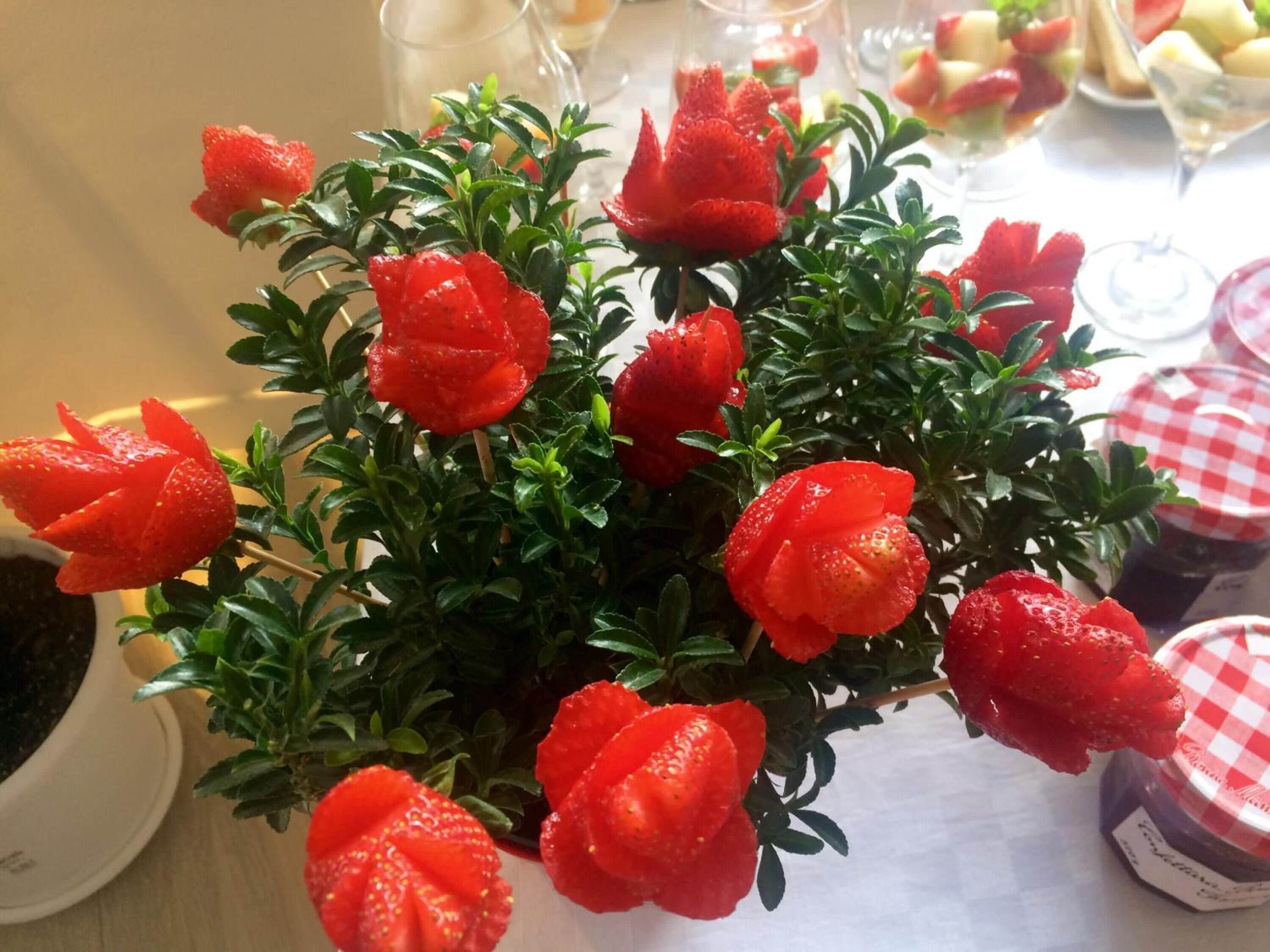 A table with a potted plant of red flowers, possibly strawberries, and a jar of jam.